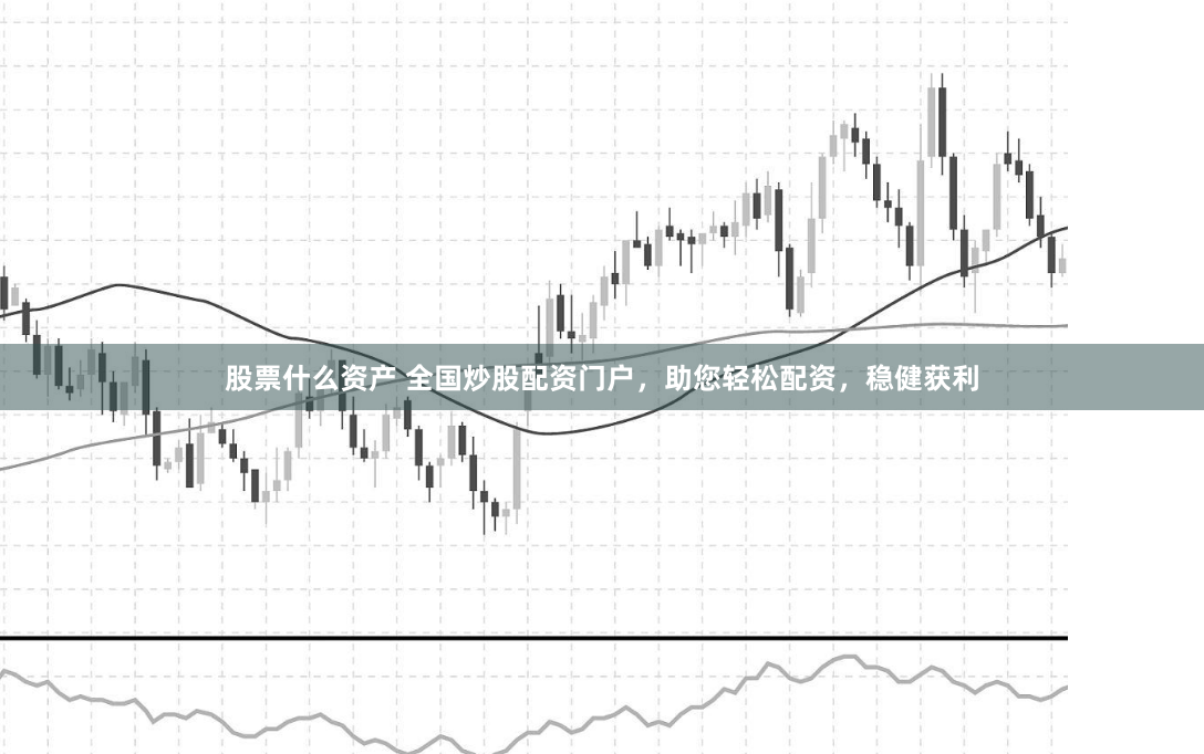 股票什么资产 全国炒股配资门户，助您轻松配资，稳健获利